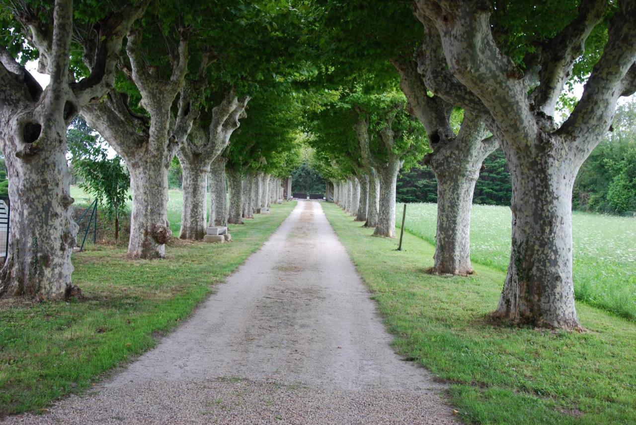 Le Mas Saint Jacques Le Pontet  Exterior photo